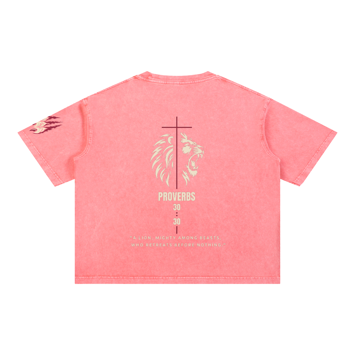 Be Bold - Proverbs 30:30 - Mineral Wash Boxy T-Shirt - Unisex