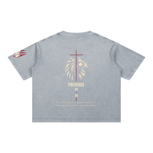 Be Bold - Proverbs 30:30 - Mineral Wash Boxy T-Shirt - Unisex