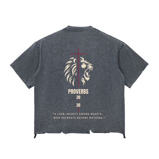 Be Bold - Proverbs 30:30 Distressed Boxy T-shirt - Unisex