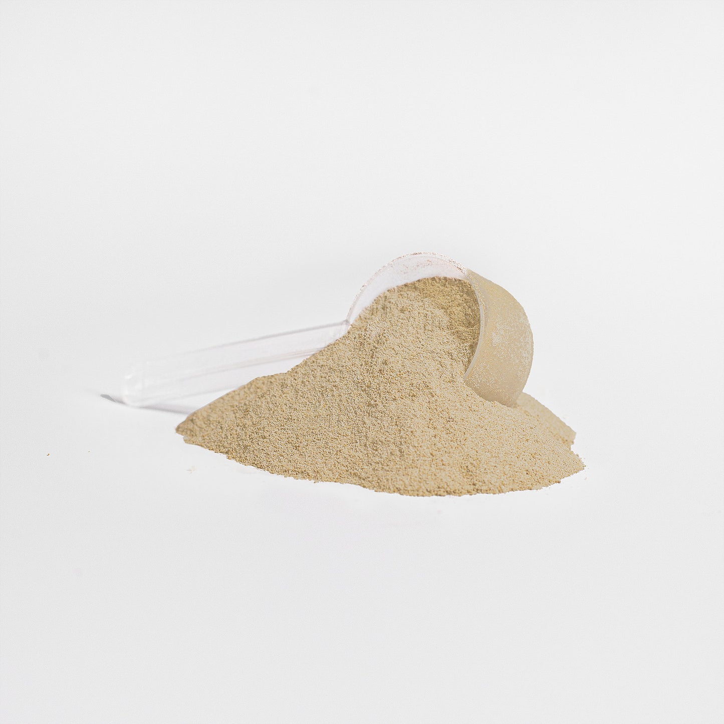 High-Quality Plant Protein (Vanilla)