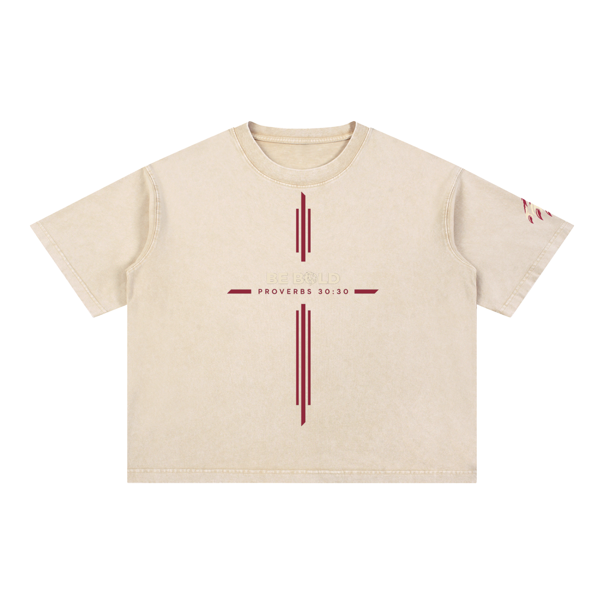Be Bold - Proverbs 30:30 - Mineral Wash Boxy T-Shirt - Unisex