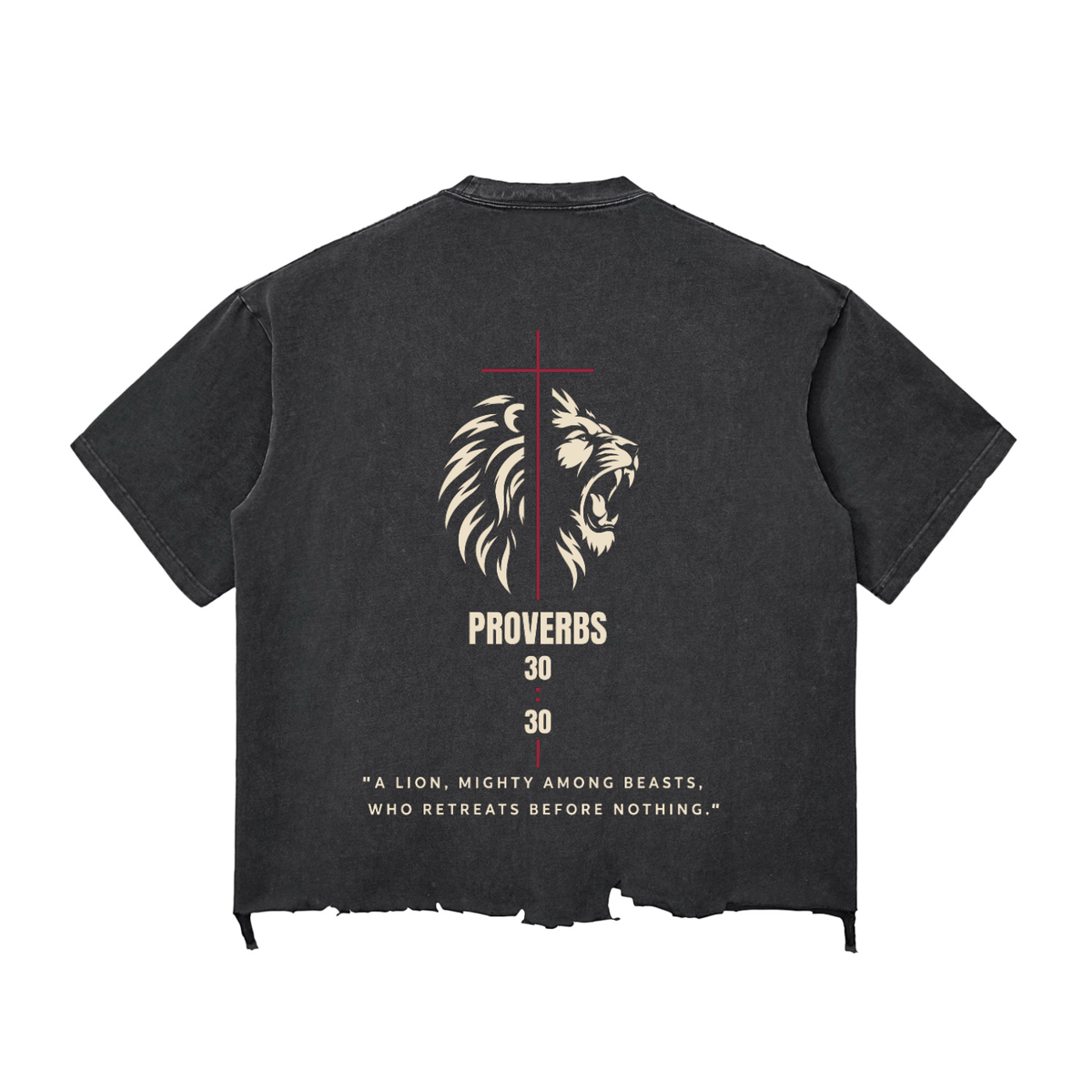 Be Bold - Proverbs 30:30 Distressed Boxy T-shirt - Unisex