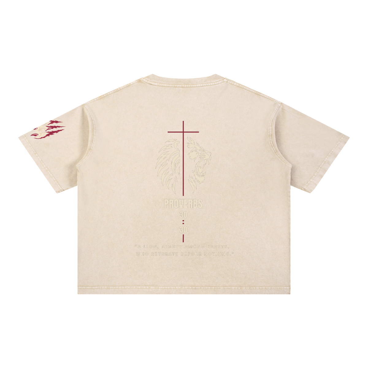 Be Bold - Proverbs 30:30 - Mineral Wash Boxy T-Shirt - Unisex