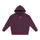 Apex - Fleeced Hoodie