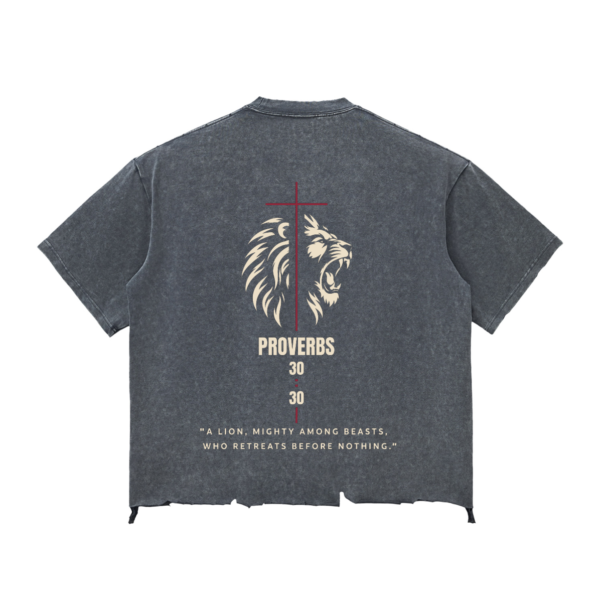 Be Bold - Proverbs 30:30 Distressed Boxy T-shirt - Unisex